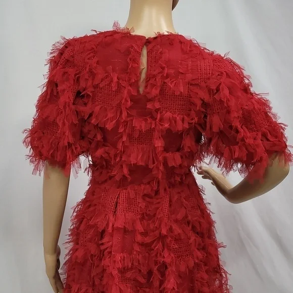 Endless Rose Texture Mesh  Overlay Mini Dress - Picture 14 of 17